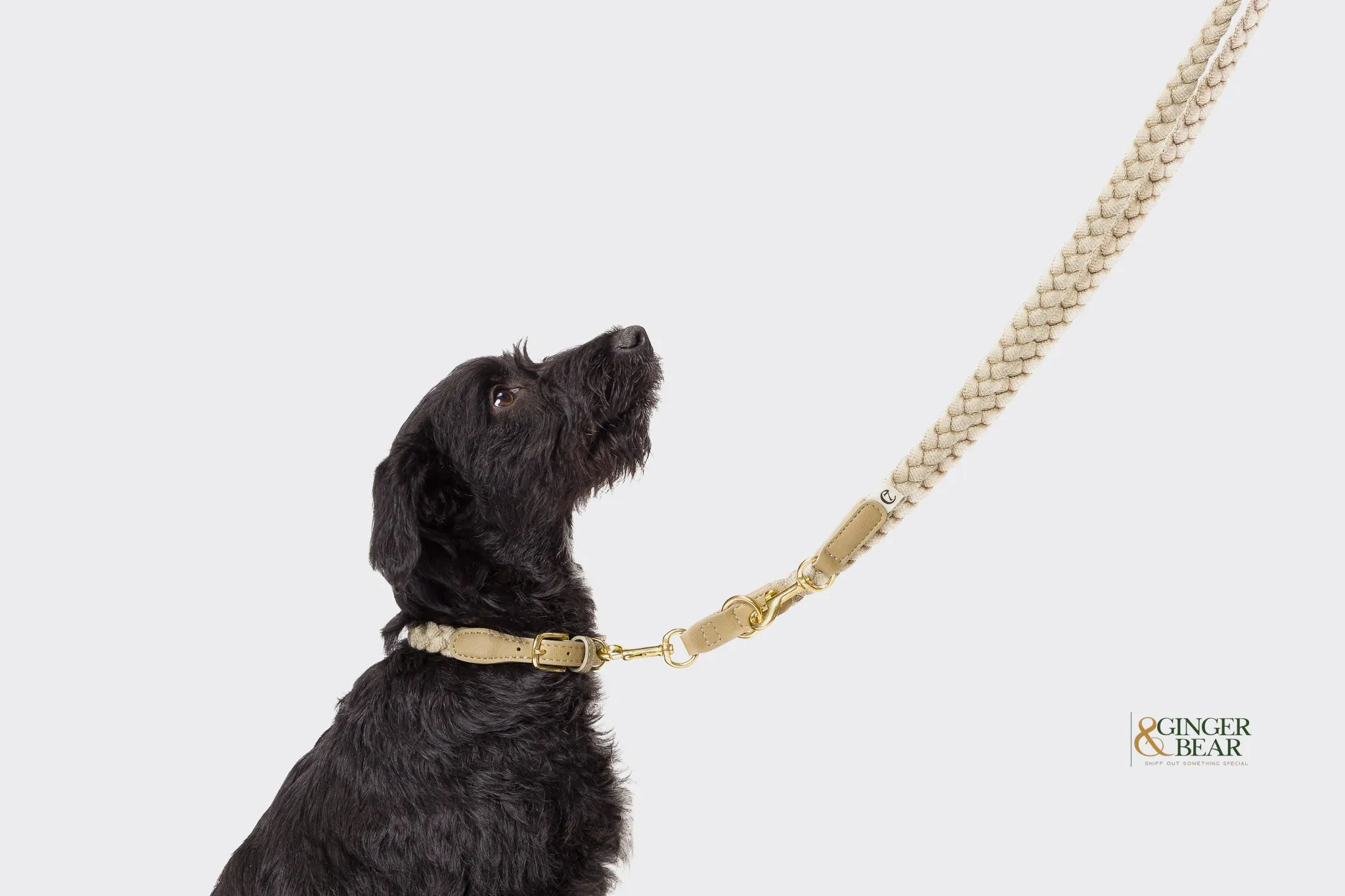 Cloud7: Blomen Dog Leash, Nature