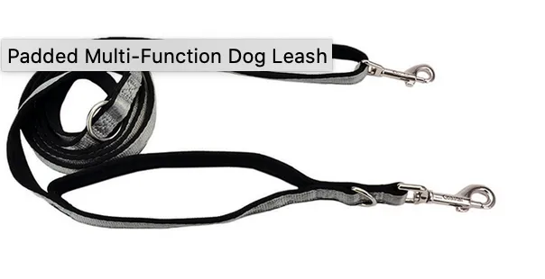 Coastal Padded Multi-Function Leash Silver 6'