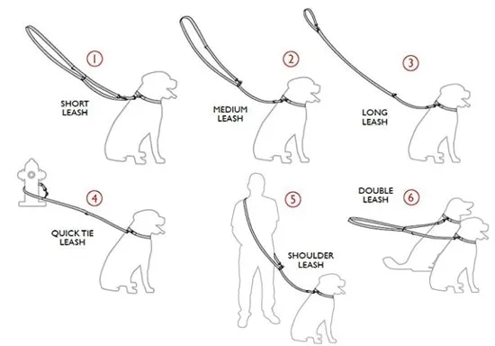 Hands Free Disco Dog Leash